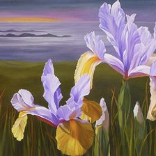 Схема вышивки «ирисы»