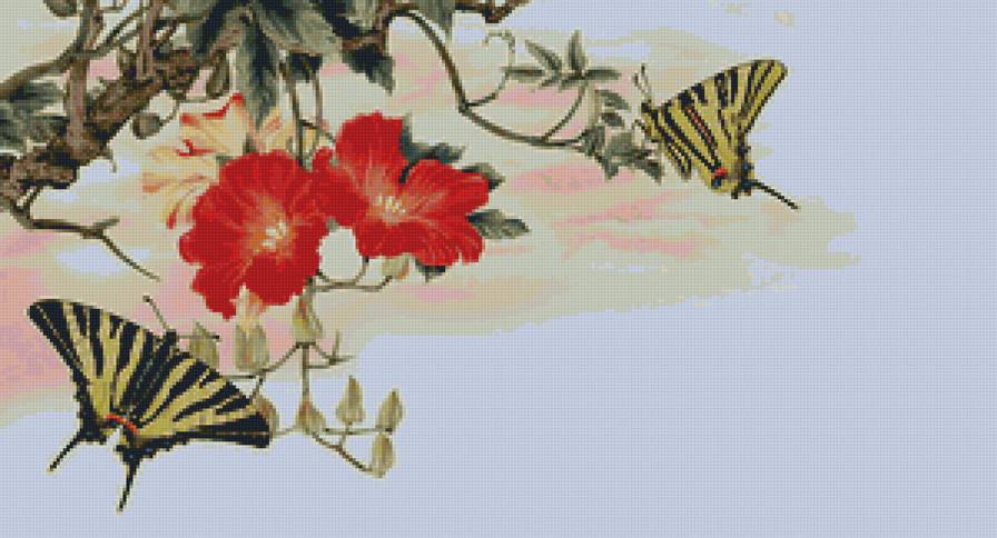 гибискус - насекомые, цветы, гибискус, бабочка - предпросмотр