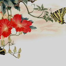 Схема вышивки «гибискус»