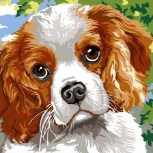 Схема вышивки «спаниель»