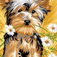 Схема вышивки «Йорик»