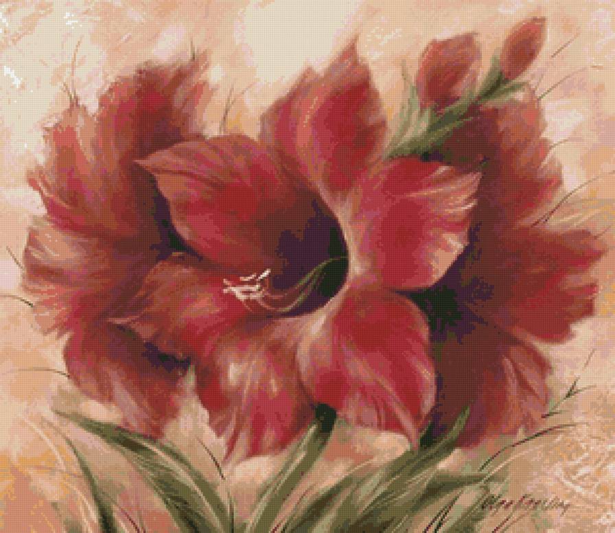 амариллис - цветы, красный цветок, амариллис - предпросмотр