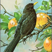 Схема вышивки «№1219866»