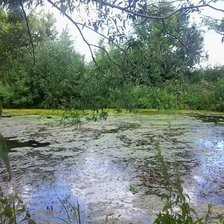 Схема вышивки «озеро»