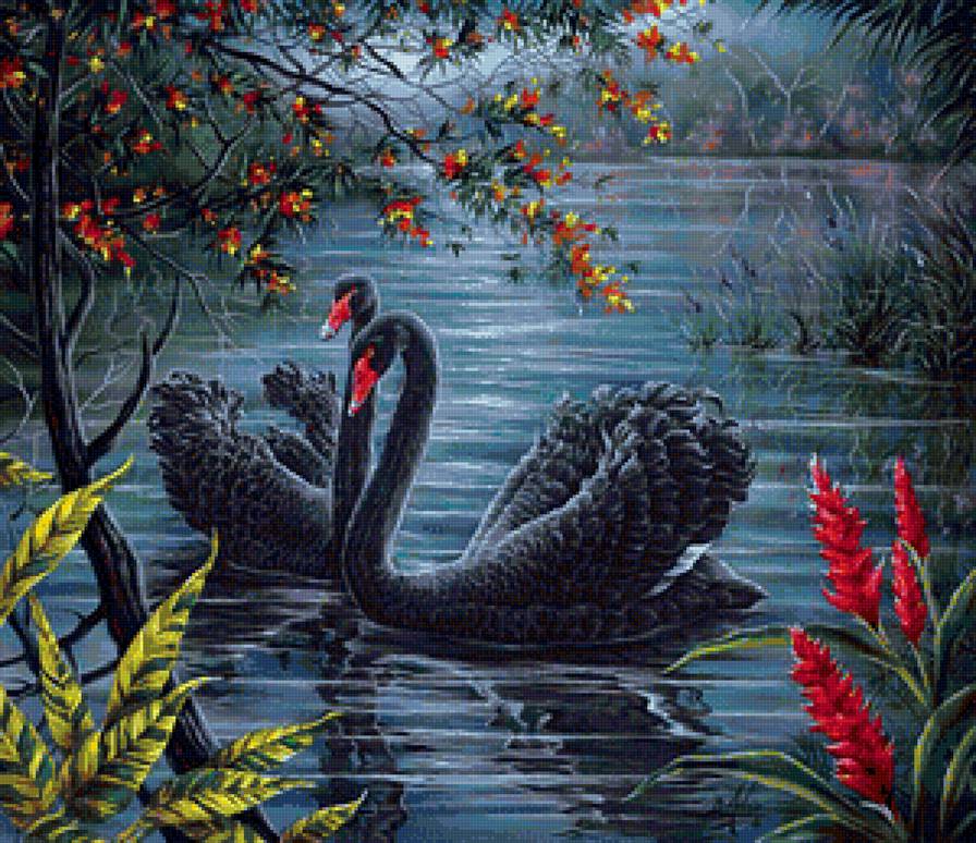 лебедм - цветы, пруд, птицы - предпросмотр