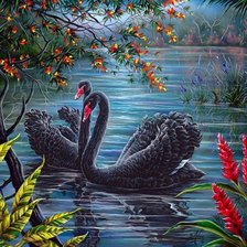 Схема вышивки «лебедм»