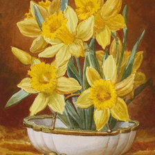 Схема вышивки «Нарциссы»