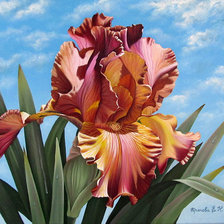 Схема вышивки «Ирис»