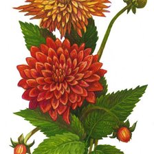 Схема вышивки «Букет»