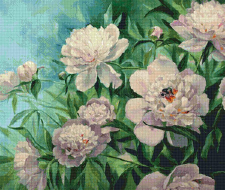 Шмель на пионе - натюрморт, пионы, насекомые, цветы, флора, букет - предпросмотр