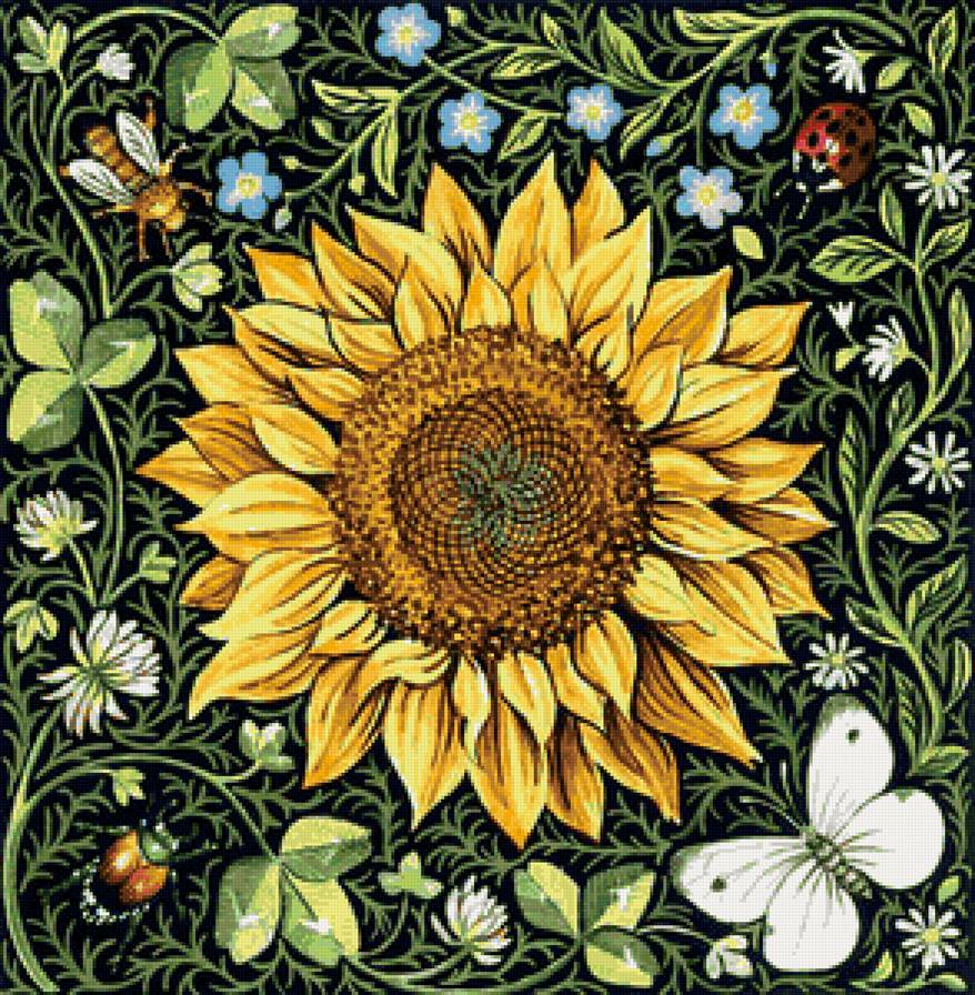 подсолнух - предпросмотр