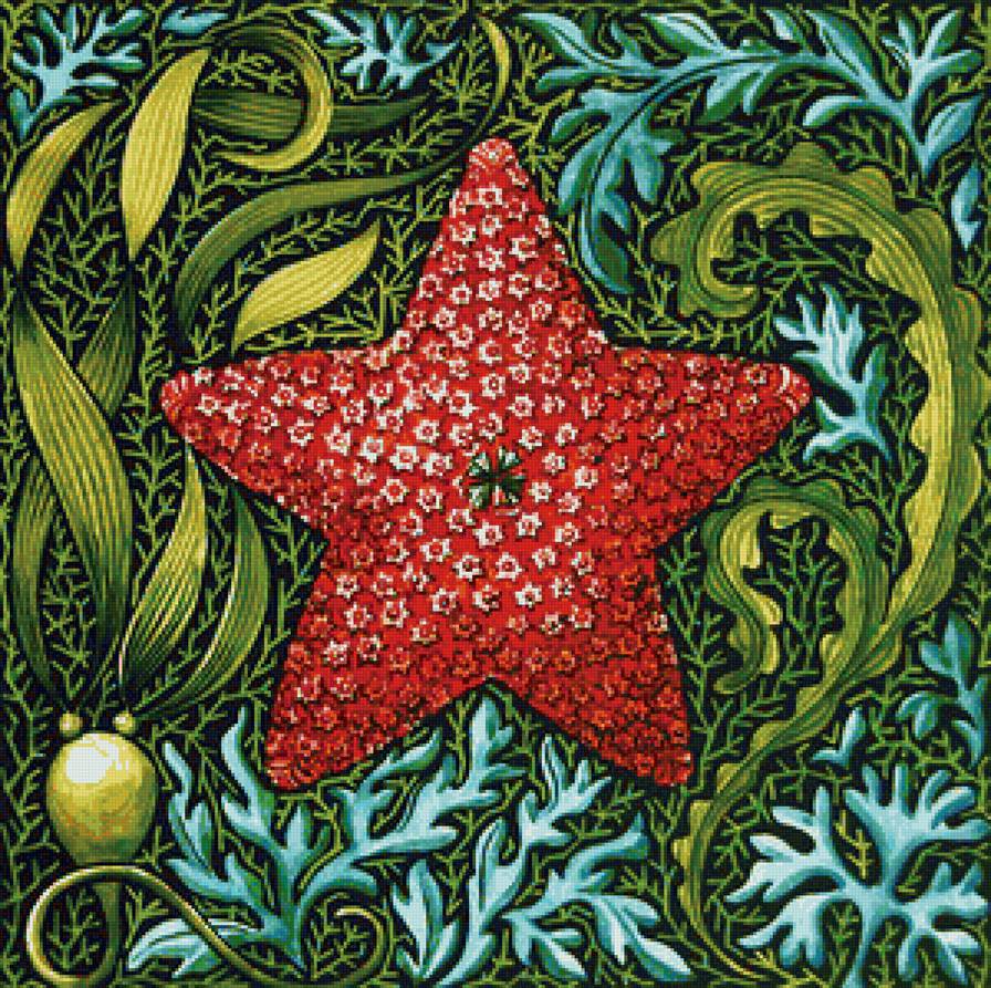 морская звезда - предпросмотр