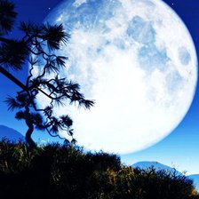 полная луна