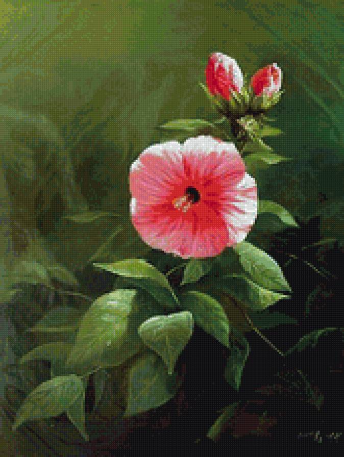 ВЬЮНОК - предпросмотр