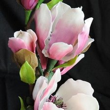 Схема вышивки «№1221116»