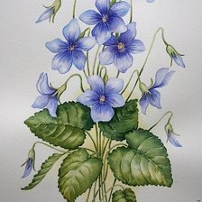 Схема вышивки «№1221130»