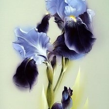 Схема вышивки «№1221168»