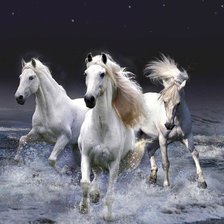 Схема вышивки «ЛОШАДИ ПО МОРЮ»