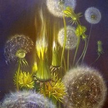 Схема вышивки «одуванчик отцвёл»