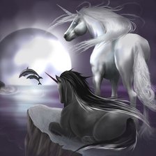 ЕДИНОРОГИ И ДЕЛЬФИНЫ