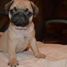 Схема вышивки «Боссик»