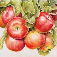 Схема вышивки «Яблоки»