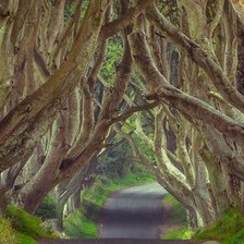 Схема вышивки «Дорога»