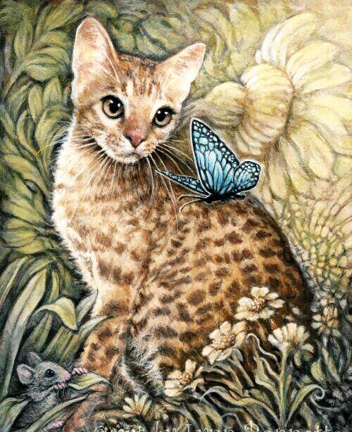 кот и бабочка - оригинал