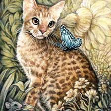 кот и бабочка