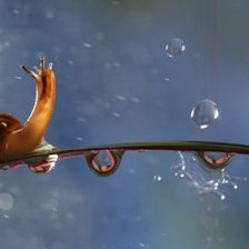 Схема вышивки «Улитка под дождем»