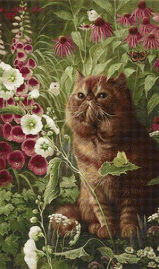 кот и мальвы - предпросмотр