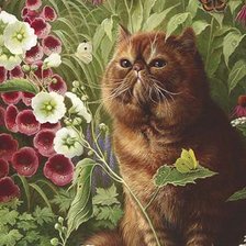 Схема вышивки «кот и мальвы»