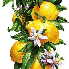 Схема вышивки «№1221978»