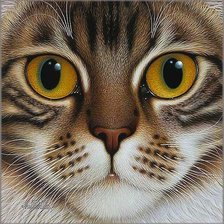 Схема вышивки «кошачья мордашка»