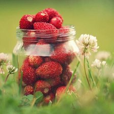 Схема вышивки «Земляника»