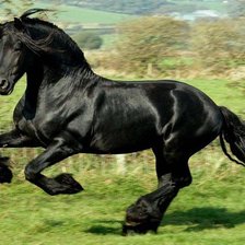 Схема вышивки «ЧЕРНЫЙ КОНЬ2»