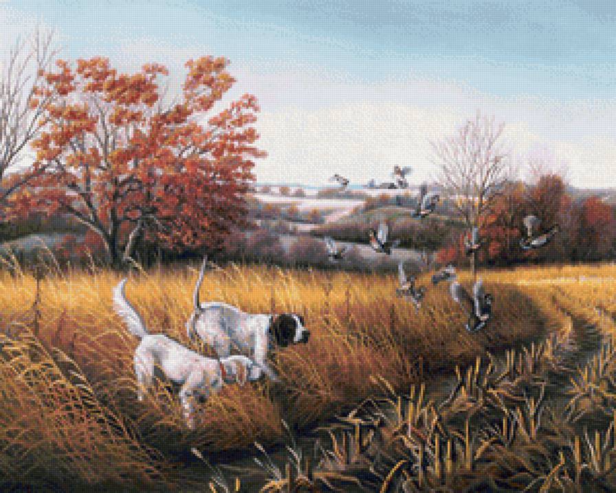 Серия Охота - природа, собаки, осень, охота - предпросмотр