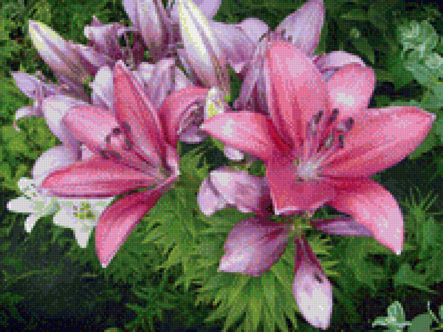 букет лилий - предпросмотр