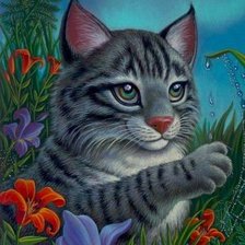 Схема вышивки «котик»