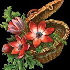 Схема вышивки «№1223048»