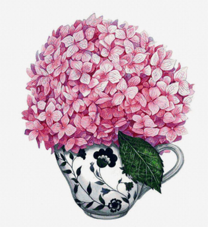 Гортензия - натюрморт, гортензия, цветы - предпросмотр