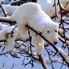 Схема вышивки «ЗИМА, СНЕГ»