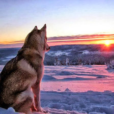 Схема вышивки «РАССВЕТ»