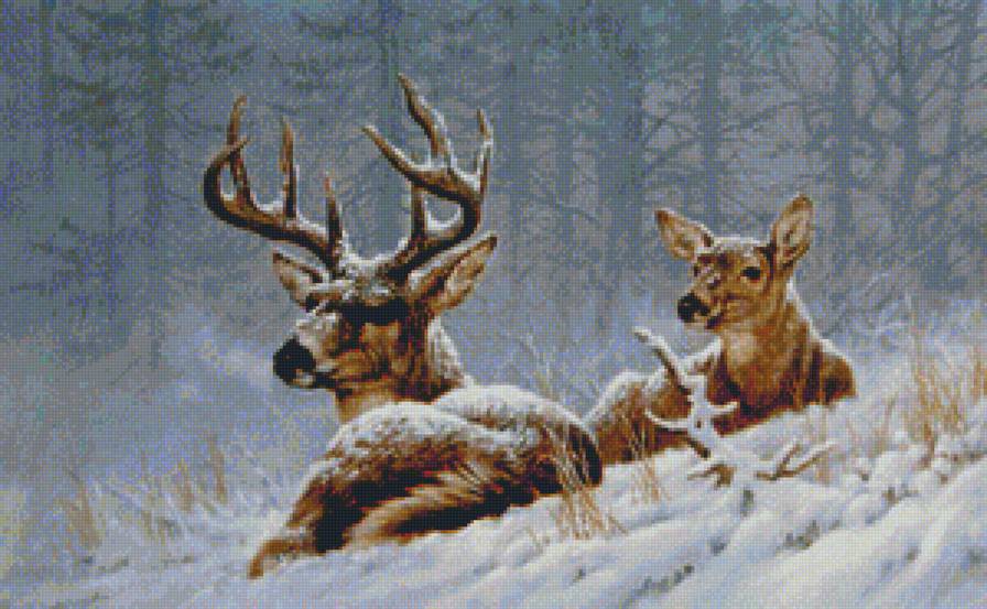 ЛАНИ И ОЛЕНЬ - лани и олень, природа, лес, животные, снег, зима - предпросмотр