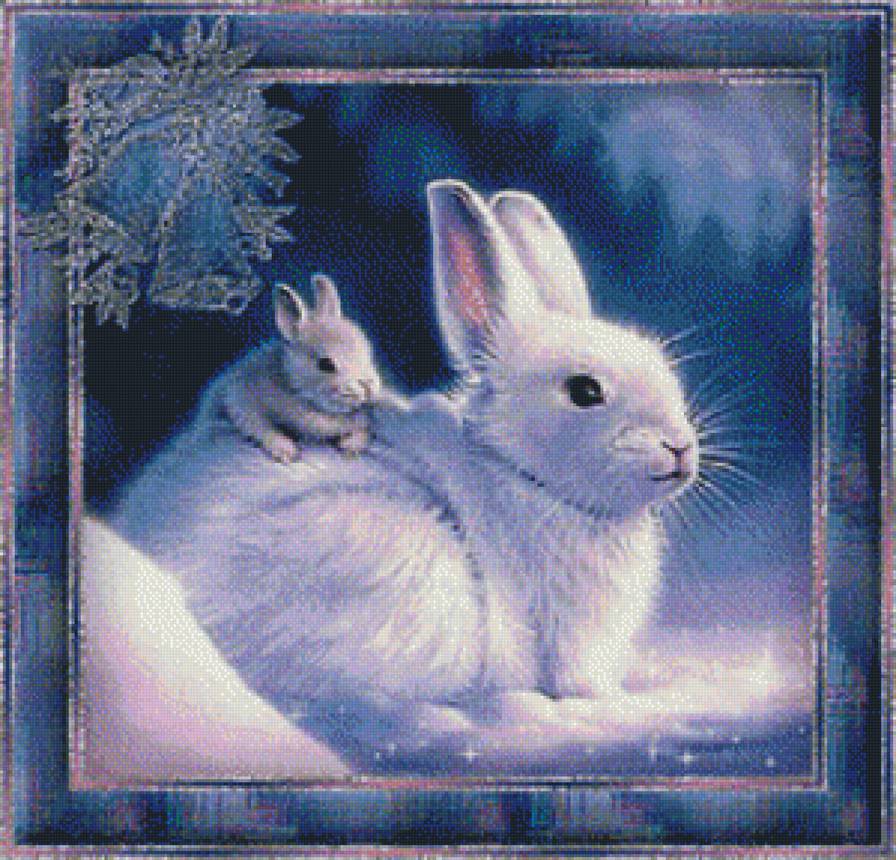 БЕЛЫЙ КРОЛИК - природа, животные, белый кролик - предпросмотр