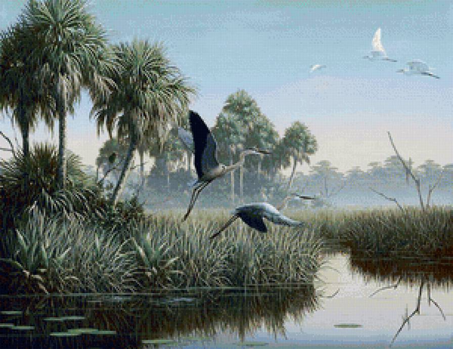 Худ.Бен Массенбург - экзотика, природа, вода, птицы - предпросмотр