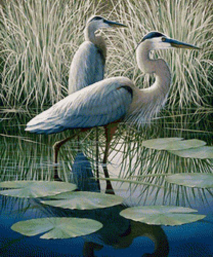 Худ.Бен Массенбург - болото, цапли, птицы - предпросмотр