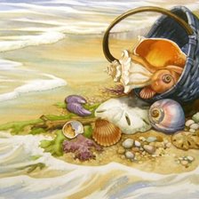 Схема вышивки «морские ракушки»