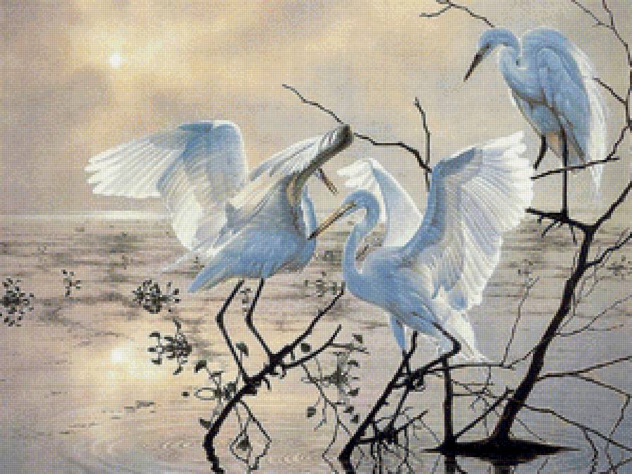 Худ. Бен Массенбург - экзотика, птицы, вода, природа - предпросмотр