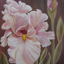 Схема вышивки «розовый ирис»